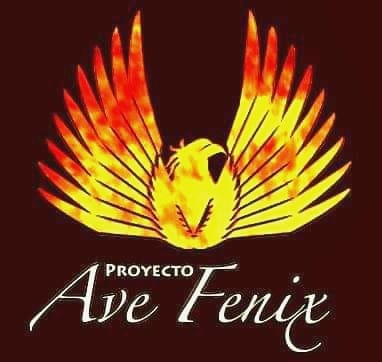 Proyecto Ave Fénix